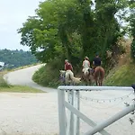 La Gallina A Pois Montefelcino