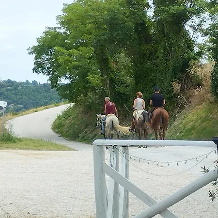 La Gallina A Pois Montefelcino