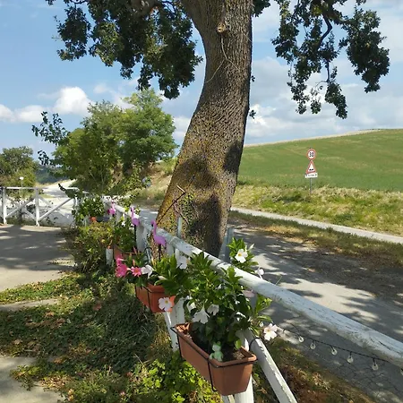 La Gallina A Pois 3* Montefelcino